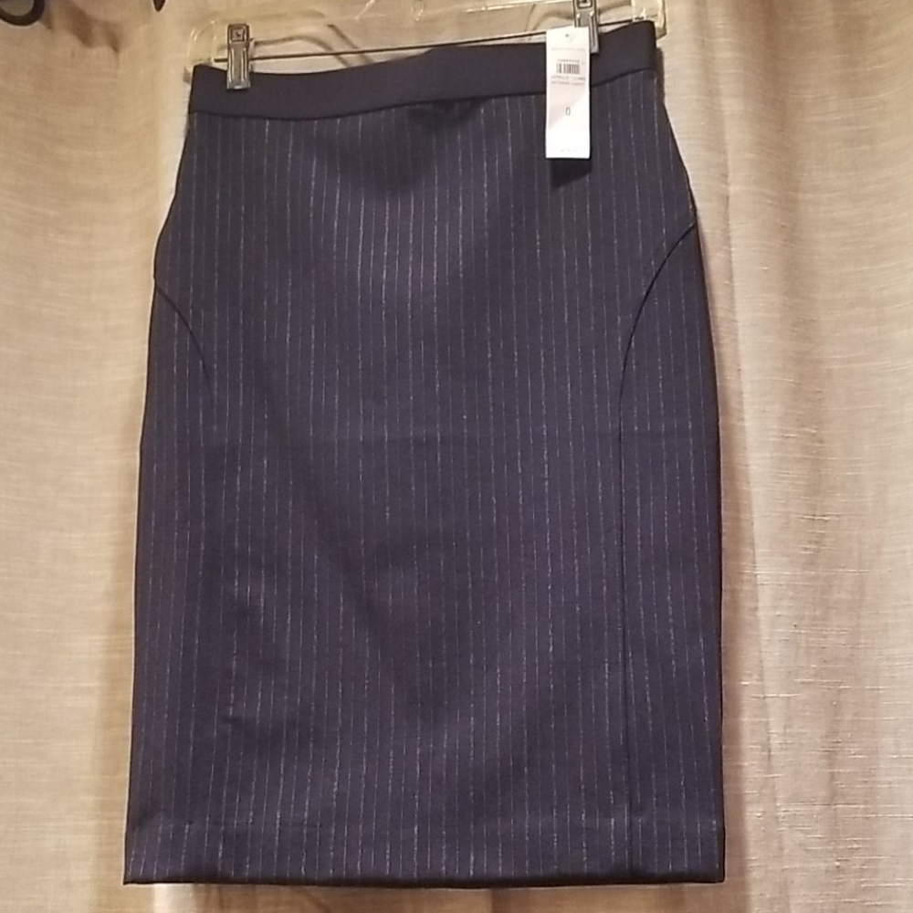 Blue pinstripe pencil skirt Ann Taylor NWT